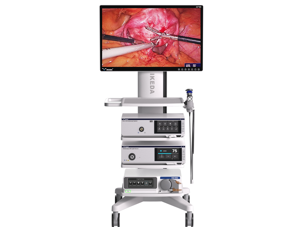 système de caméra endoscopique