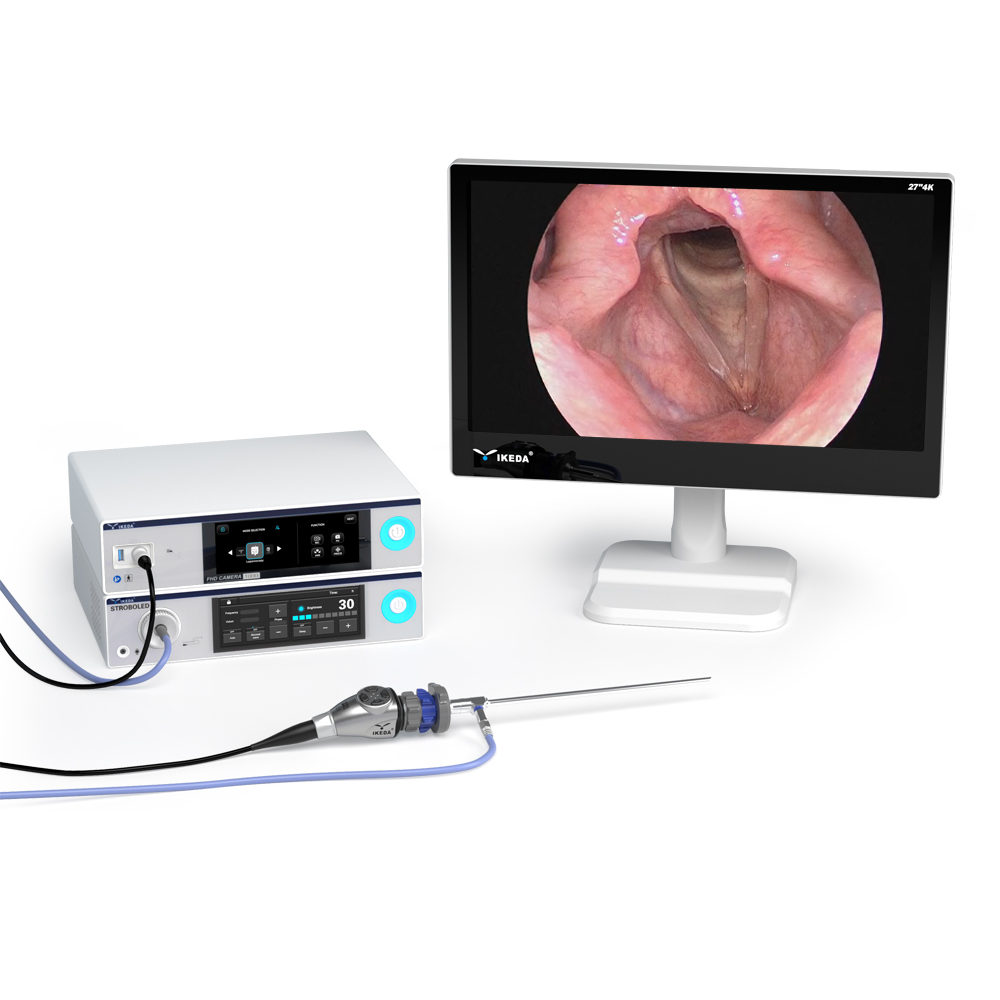 Endoscope-System