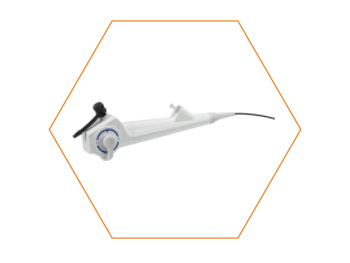 Veterinary Endoscopy System