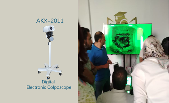 Gynecological Training Across Africa
