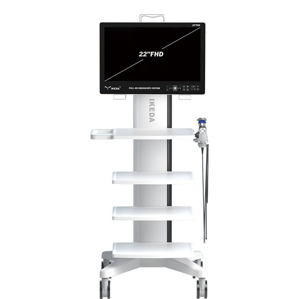 Portable Endoscopy Unit