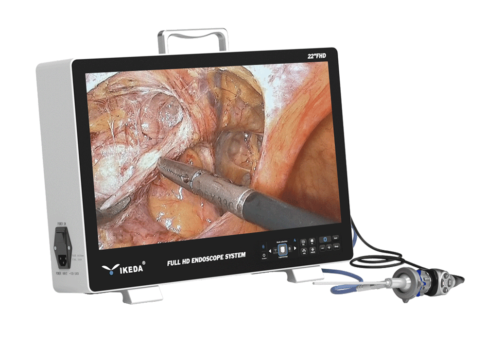Unité d'endoscopie portable