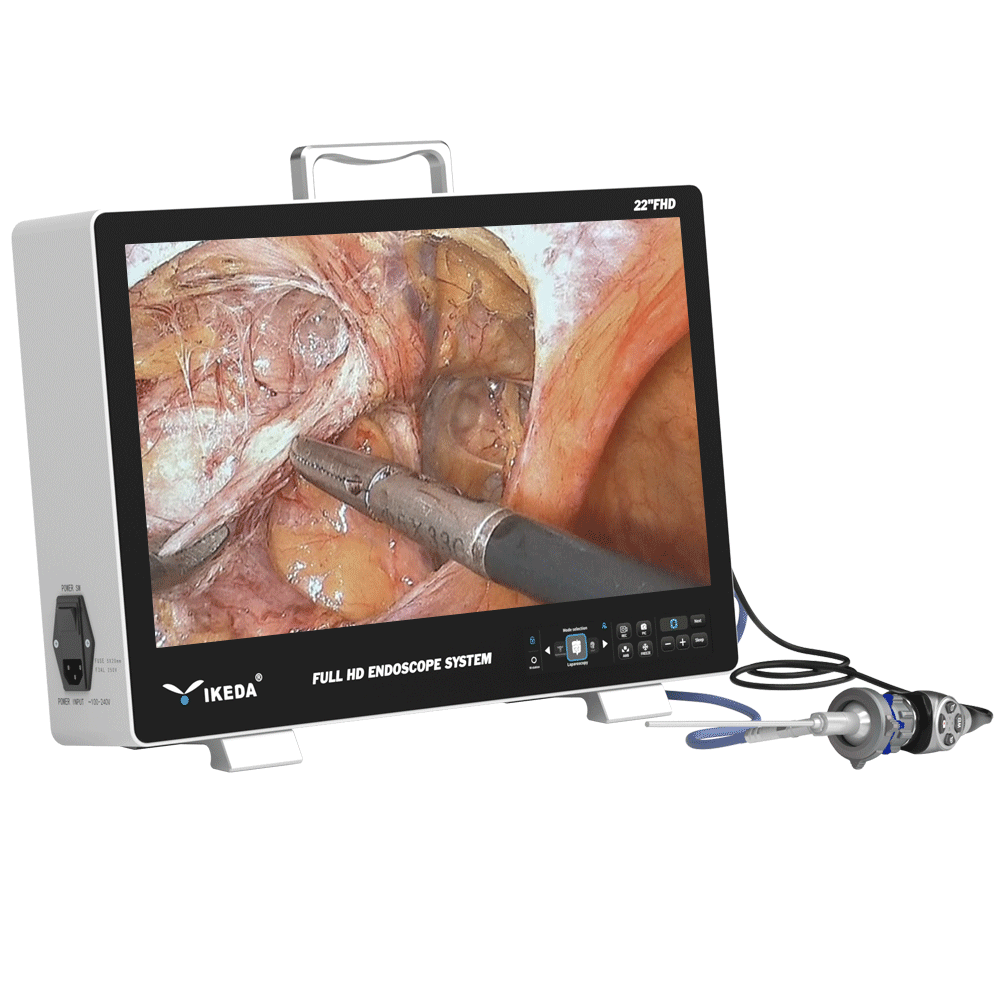 Portable Endoscopy Unit