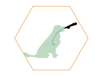 Veterinary Endoscopy System