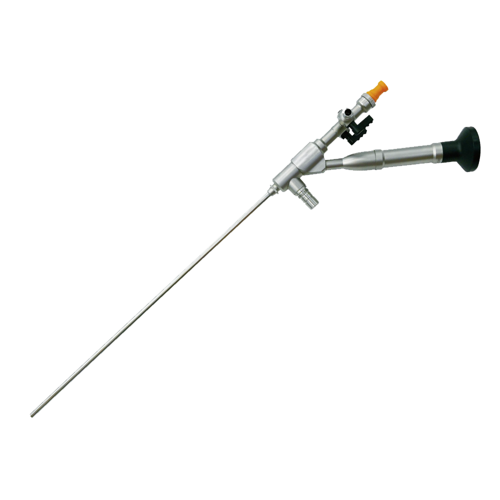 Transcutaneous-Nephroscope