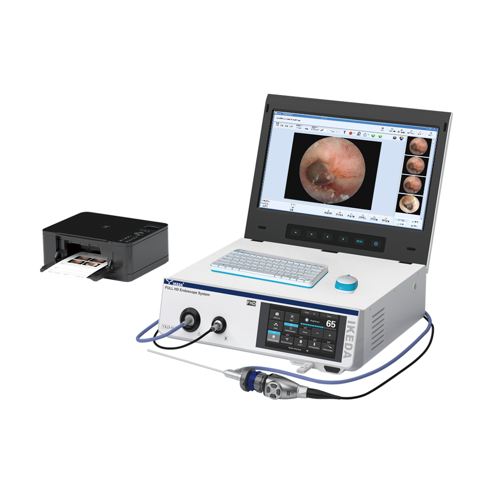 Portable Endoscopy System