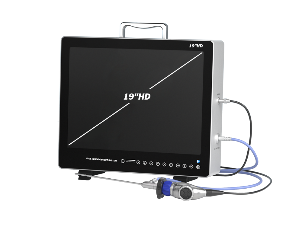 Système de caméra endoscopique