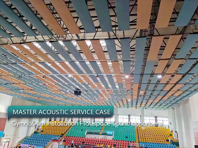 Gymnasium-installation-Flat-space-Sound-absorbers-(1)