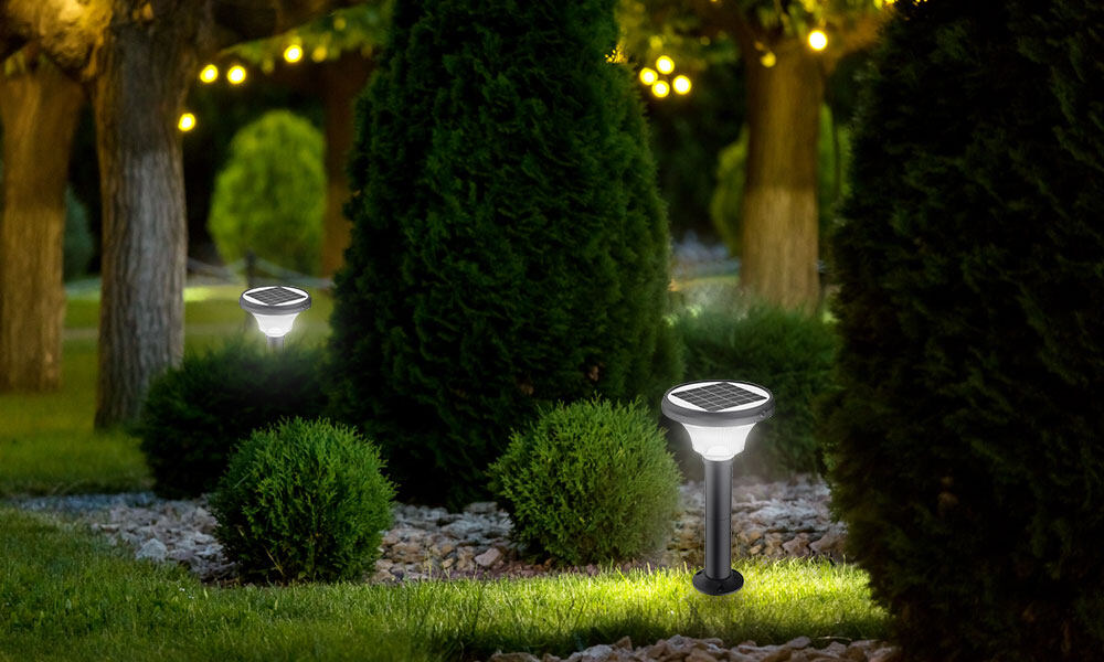 Stainless Steel Solar Garden Lights for Path Lighting