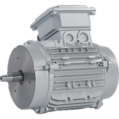 IEC_Motor.2