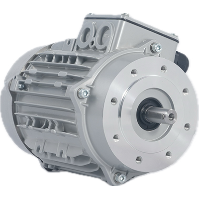 IEC_Motor.3