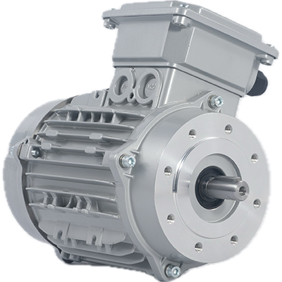 IEC_Motor.4