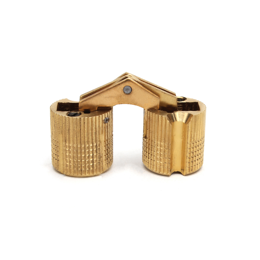 CCH010-015 Barrel Hinge 01