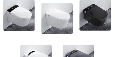 Wall mounted intelligent toilet function display