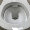 Rimless Compact Dual Flush Toilet