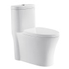 American Best Flushing Dual Flush Siphon 1 Pc Toilet For Bathroom