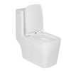 Bathroom Ceramic WC Dual Flush Floor Mounted Modern One Piece Toilet