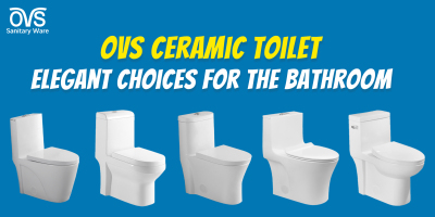 OVS Ceramic Toilets: An Elegant Choice for the Bathroom