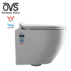 Hotel Water Saving Ceramic Bathroom Concealed Cistern Toilet Wc Wall Hang Toilet