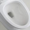 North American Save Water 1.28 Gpf Round White ADA Standard Modern One Piece Toilet