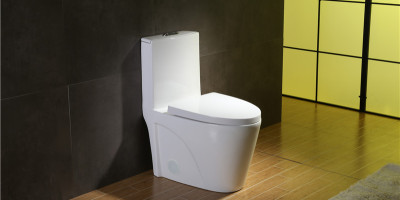 How Modern Toilet Designs and Materials can Comply with The Principles of Sustainability