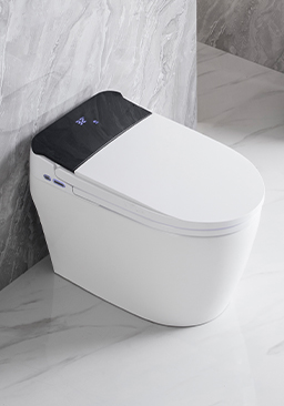 Smart toilet