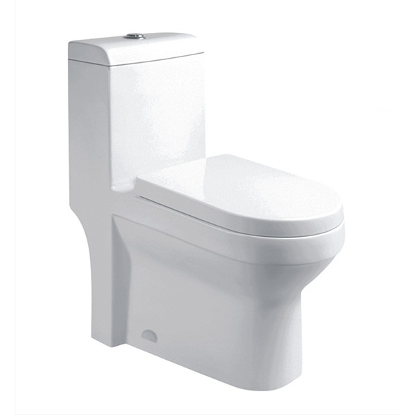 water efficient toilets