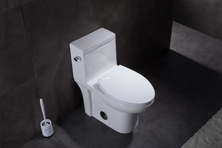 one piece eco toilet