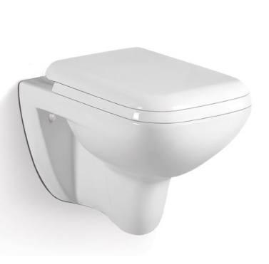 Wall Mounted Toilet