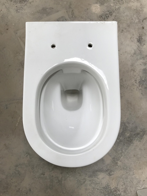 Single Piece Toilet