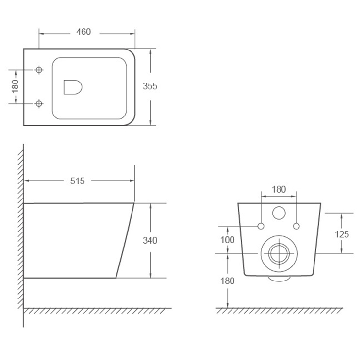 Water Closet Toilet