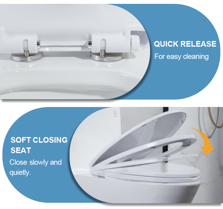  Pressure Flush Toilet