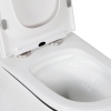 OEM Luxury Sanitary Ware Dual Flush Black Line One Piece Elongated Toilet