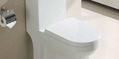 What are the Benefits of Dual Flush Toilet?