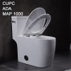 4.8l American Standard Right Height Toilet Elongated One Piece Floor Mounted