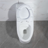 American Bathroom Water Closet Custom Ceramic Elongated Commode Siphonic Flush Modern One Piece Toilet