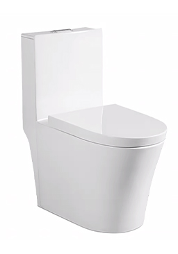 American Style Elegant Design Siphonic Dual Flush Modern White One Piece Toilet