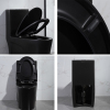 Matte Black Brazil dual flush oem odm siphnic one piece toilet