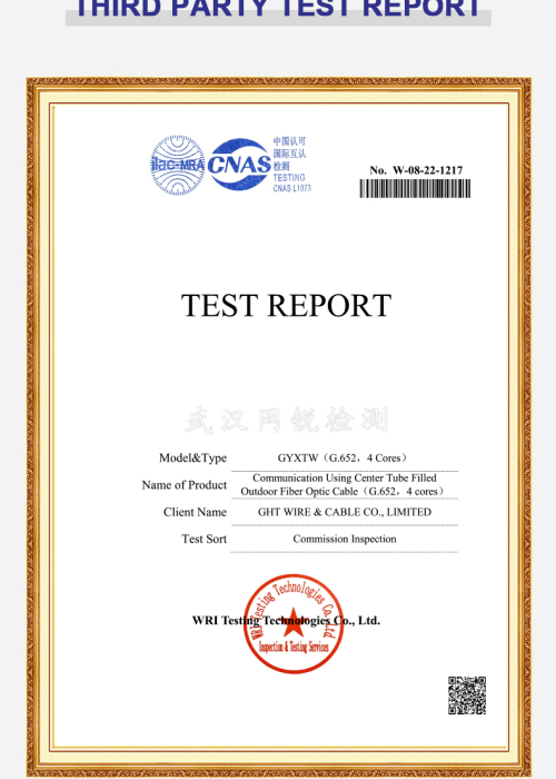 INFORME DE PRUEBA DE GYXTW