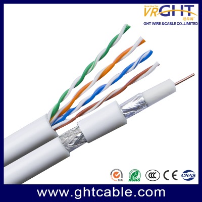 Network cable